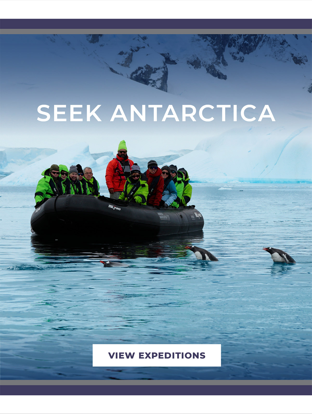 VIEW                                  EXPEDITIONS